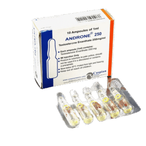 CASPIAN - ANDRONE 250