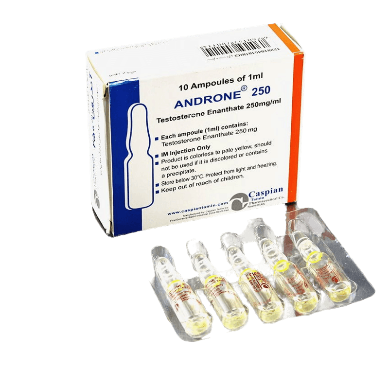 CASPIAN - ANDRONE 250